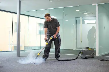 Professional Carpet Cleaning in Melbourne